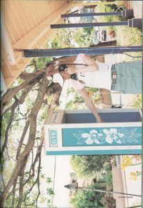 Tommy february6 + Hawaii Photobook