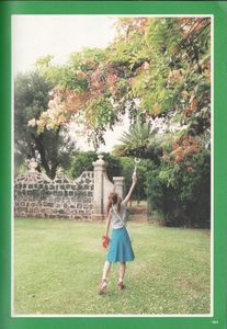Tommy february6 + Hawaii Photobook