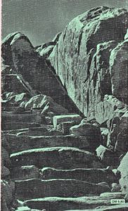 Moses
