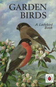 Garden Birds