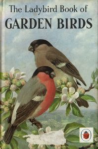 Garden Birds