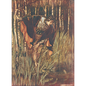 Grimm's Fairy Tales