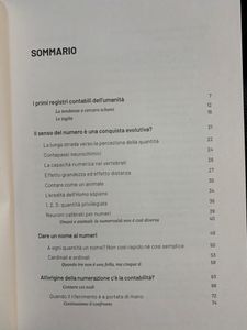 Grandi idee della matematica - n. 01 - In principio era il numero.