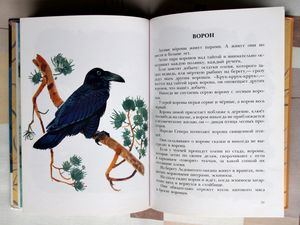 Про птиц и зверей