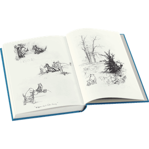 The House at Pooh Corner