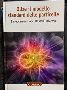 Oltre Il Modello Standard Delle Particelle. I Meccanismi Occulti Dell'Universo