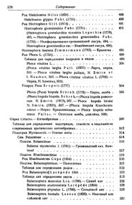 Звери Арктики