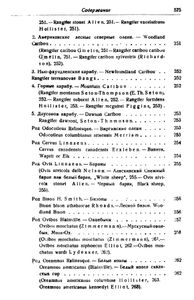 Звери Арктики