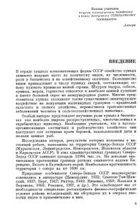 Куньи Северо-Запада СССР