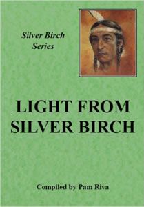 Light from Silver Birch