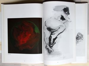 Roger Coppe. Peintre - Kunstschilder - Dessinateur - Kunsttekenaar