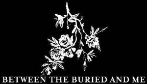 Between The Buried And Me