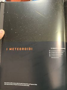 I Meteoroidi