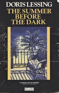The Summer Before the Dark