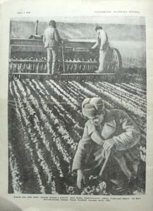 Україна № 3 (48) / березень 1947
