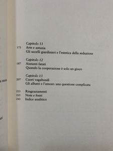Volare. La Straordinaria Vita Degli Uccelli