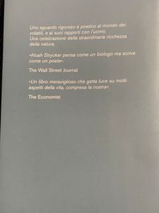 Volare. La Straordinaria Vita Degli Uccelli