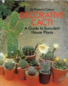 Decorative Cacti