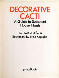 Decorative Cacti