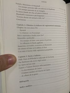 La Musa Dei Numeri. Il Ruolo Della Bellezza Nella Matematica