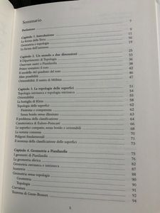 Forme Che Si Deformano. La Topologia