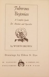 Tuberous Begonias