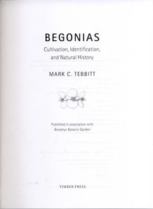 Begonias