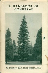 A Handbook of Coniferae