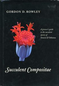 Succulent Compositae