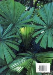 Palms Throughout the World