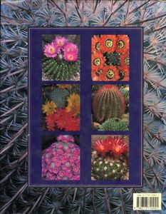 Cacti: The Illustrated Dictionary