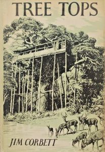 Tree Tops