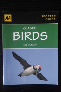 Coastal Birds