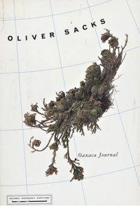 Oaxaca Journal