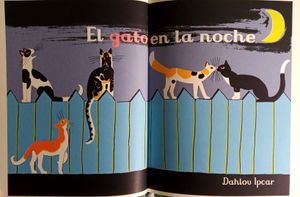 El Gato En La Noche