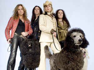 The Poodles