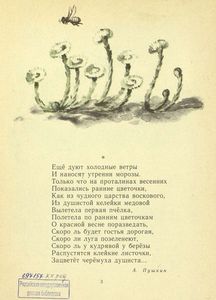 Цветы лета