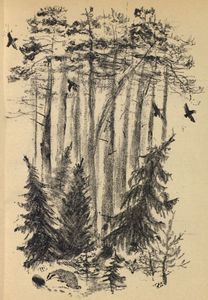 Костер. Второй сборник