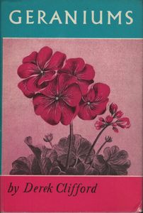Geraniums