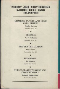 Geraniums