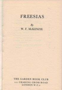 Freesias