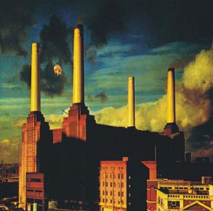 Animals (album)