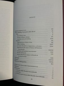 I grandi filosofi - Schelling