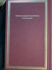 I grandi filosofi - Schelling