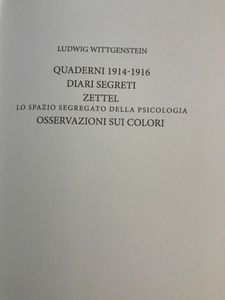 I grandi filosofi - Wittgenstein III