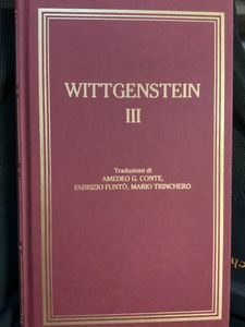 I grandi filosofi - Wittgenstein III