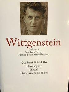 I grandi filosofi - Wittgenstein III