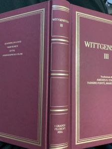 I grandi filosofi - Wittgenstein III