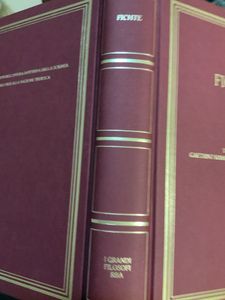 I grandi filosofi - Fichte