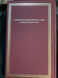 I grandi filosofi - Fichte